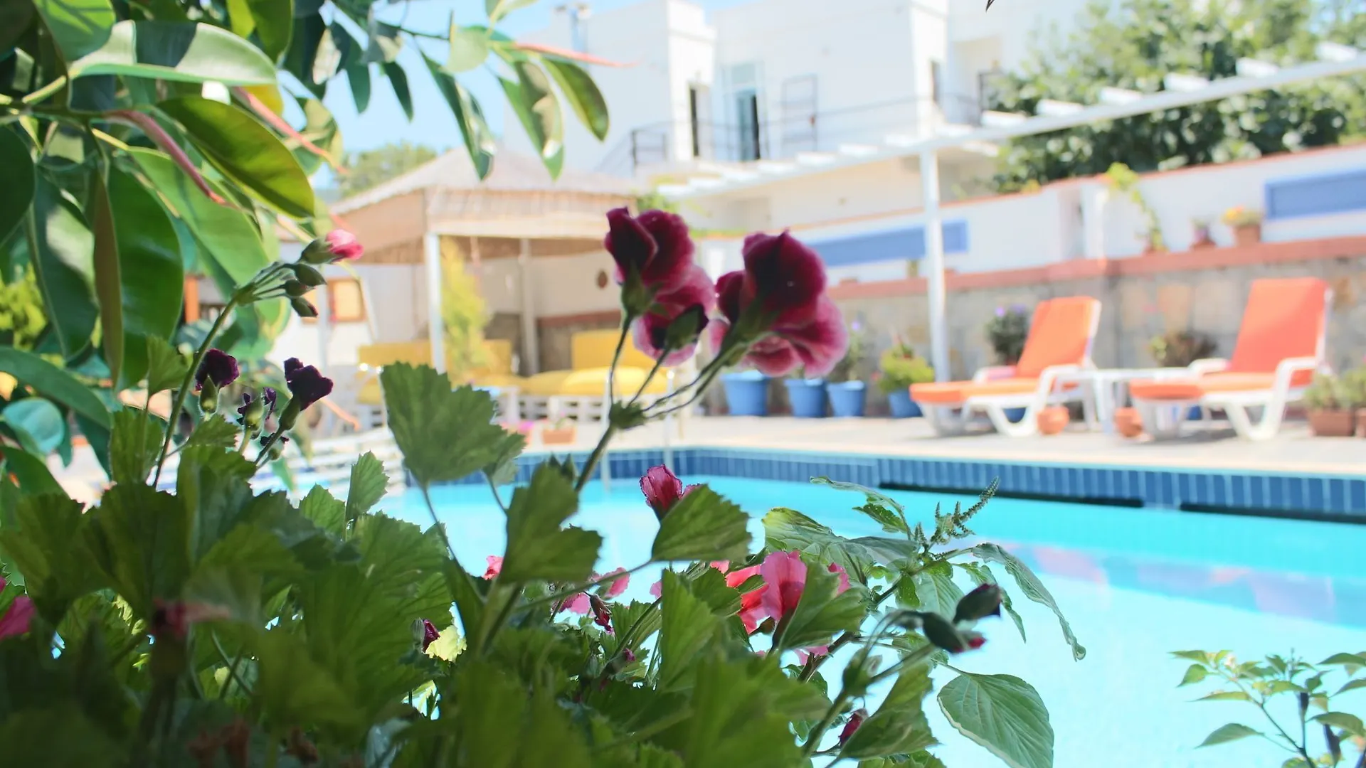 Oya Boutique Otel And Suites Bodrum Hotel