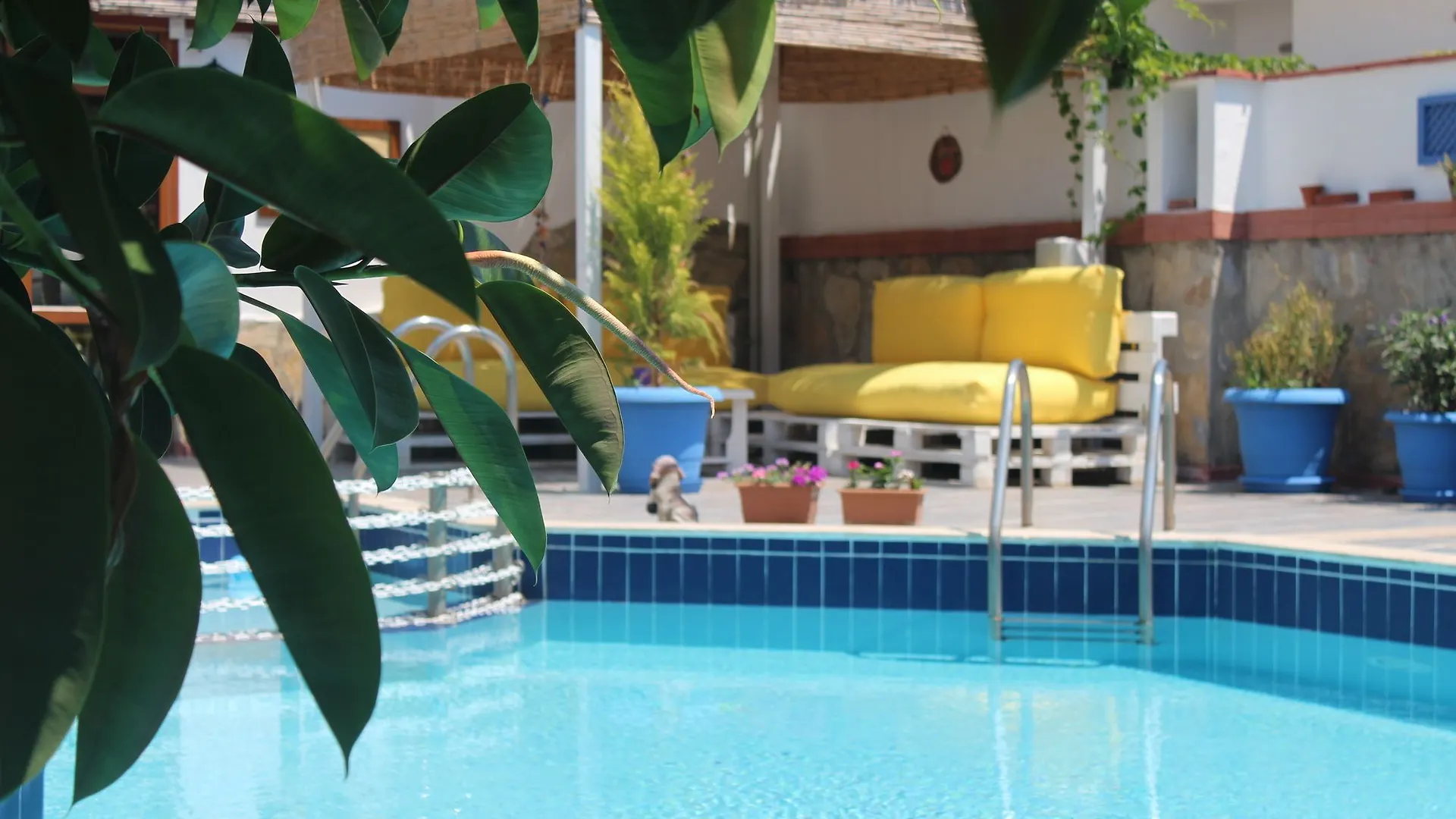 *** Hotel Oya Boutique Otel And Suites Bodrum Turquía